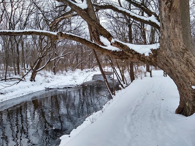 "Winter wonderland or Narnia? This snowy scene is so magical, you'll be checking the back of your closet for fauns."