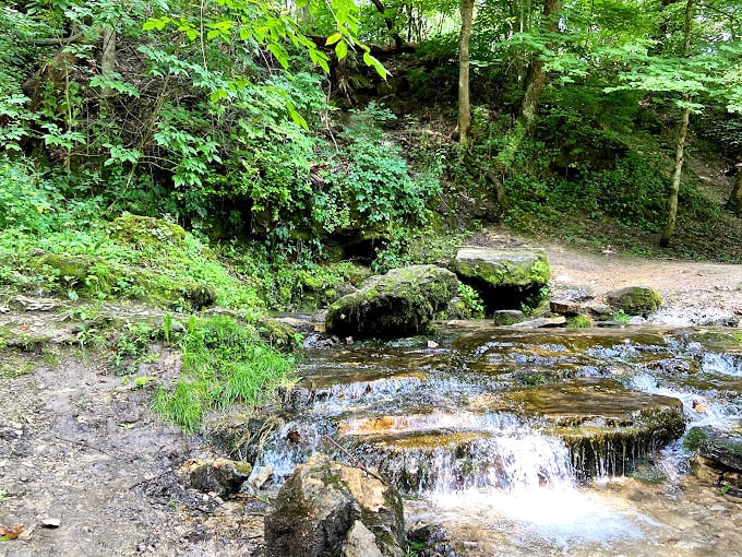 "Nature's own water feature! This babbling brook is like a soothing soundtrack for your hike – no noise-canceling headphones required."