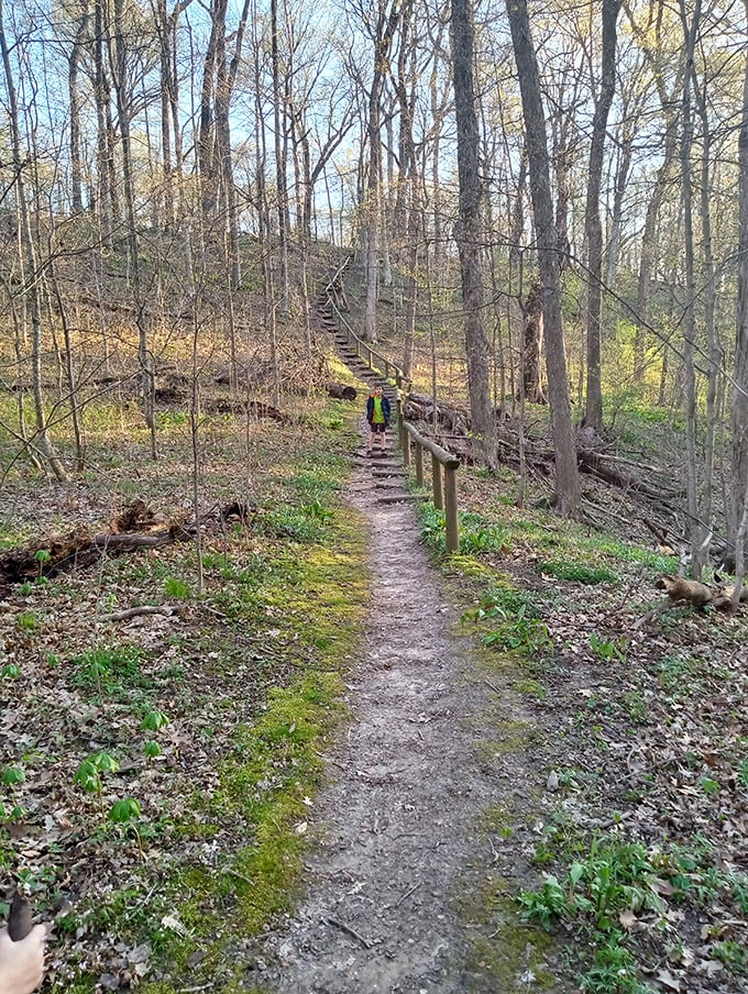 "Stairway to heaven or nature's StairMaster? Either way, this trail promises an adventure that'll leave you breathless – literally and figuratively!"