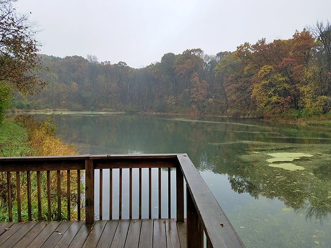 "Misty morning or nature's own special effects? This foggy scene is so picturesque, you'll swear you're on a movie set."