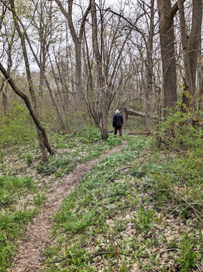 "One small step for a hiker, one giant leap for weekend warriors. This trail's calling your name – can you hear it?"