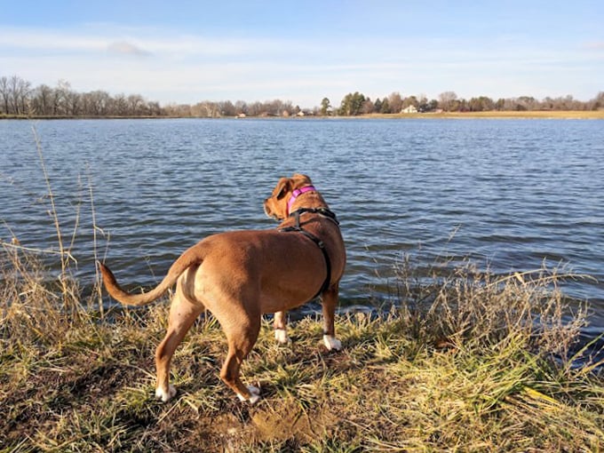 Even dogs get their slice of paradise in Waterloo. It's a canine's dream come true – all the sniffs without the "No Dogs Allowed" signs.