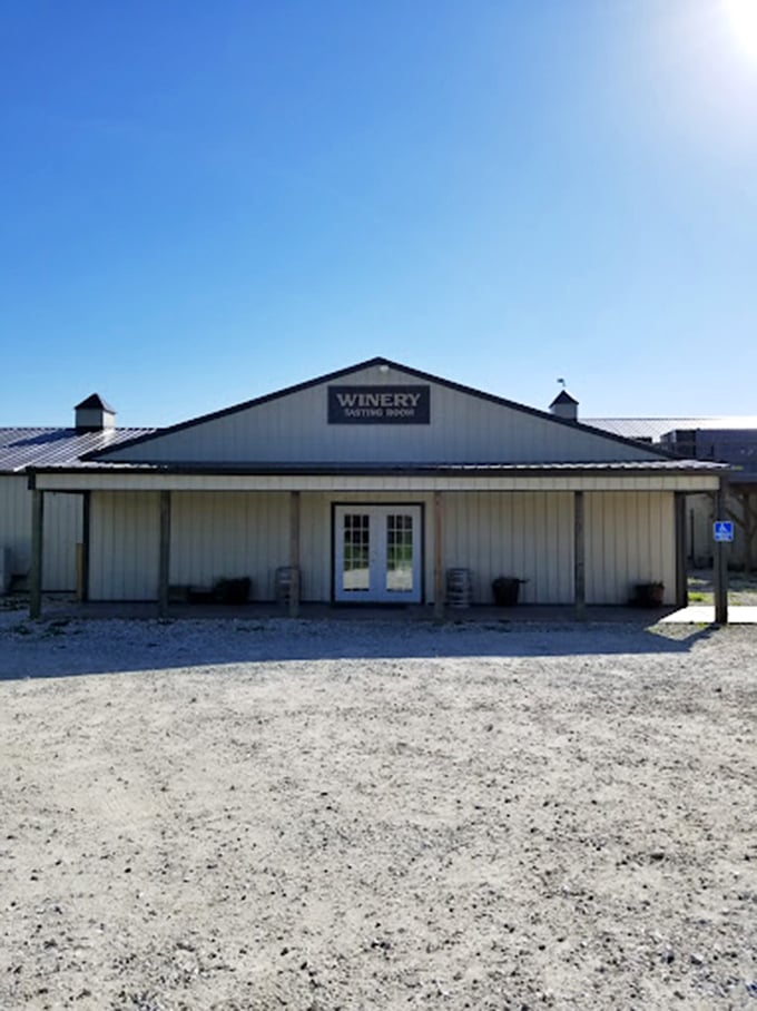 Grape expectations! This charming winery proves that you don't need to jet off to Napa to sip, swirl, and pretend you know what "oaky with a hint of leather" means.