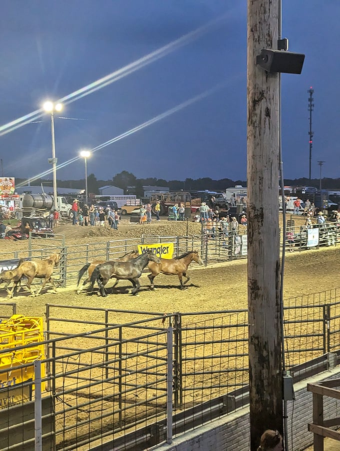 Yeehaw meets neon nights! This rodeo scene is so electrifying, even the horses are doing the electric slide. Grab your cowboy boots and join the party!