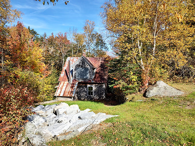 Rustic charm meets fairytale whimsy. This cabin looks like it's waiting for Goldilocks to pop by for a bowl of locally-sourced porridge.