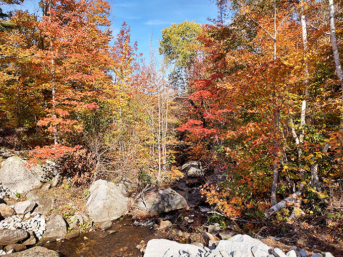 Autumn in Vermont: Where trees compete in their own version of 