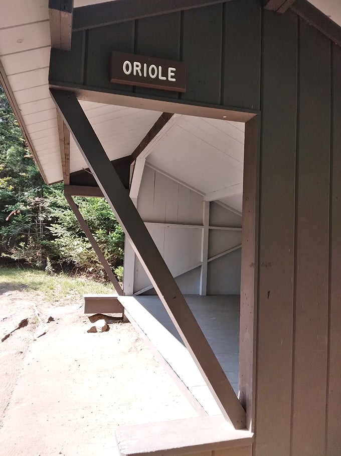 Oriole you glad you came? This cozy shelter proves that sometimes the best room service is provided by Mother Nature herself.