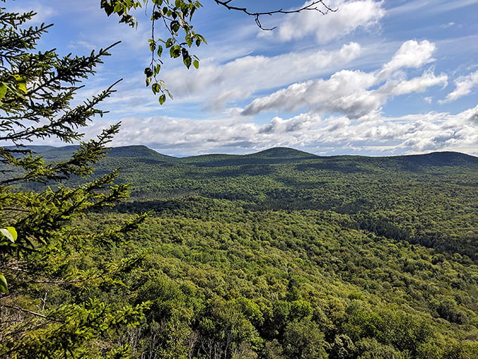 Vermont's version of the Emerald City. Follow the green brick road through a forest that puts the 