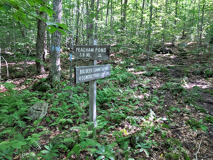 Choose your own adventure! These trail signs are like a real-life version of those old 