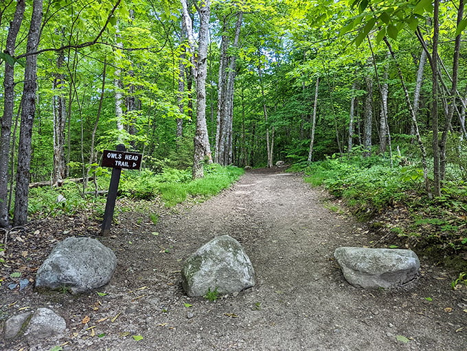 Who gives a hoot about steep climbs? The Owl's Head Trail promises views so spectacular, you'll be wide-eyed with wonder at the top!