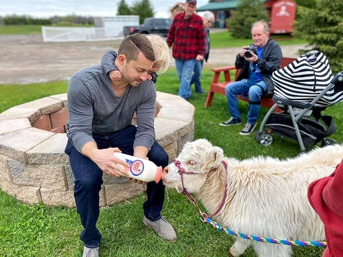 Goat yoga? So last year. Reindeer bottle-feeding is the new zen. Just don't expect them to say 'namaste'.