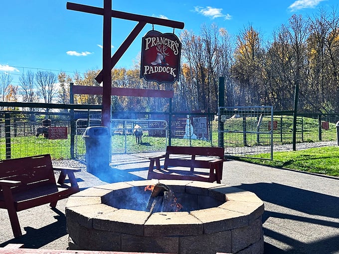 Prancer's Paddock: Where campfire stories always end with 'and then Santa said...'. Marshmallows optional, holiday spirit mandatory!