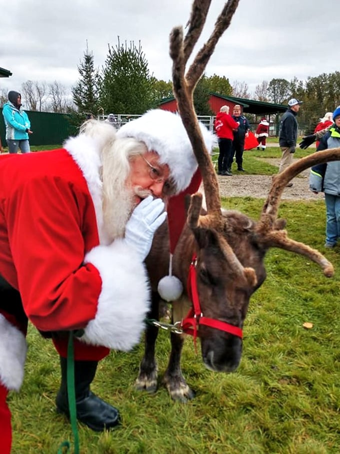 Caught in the act: Santa's secret reindeer pep talk. 'Remember, Dasher, it's all in the takeoff!'