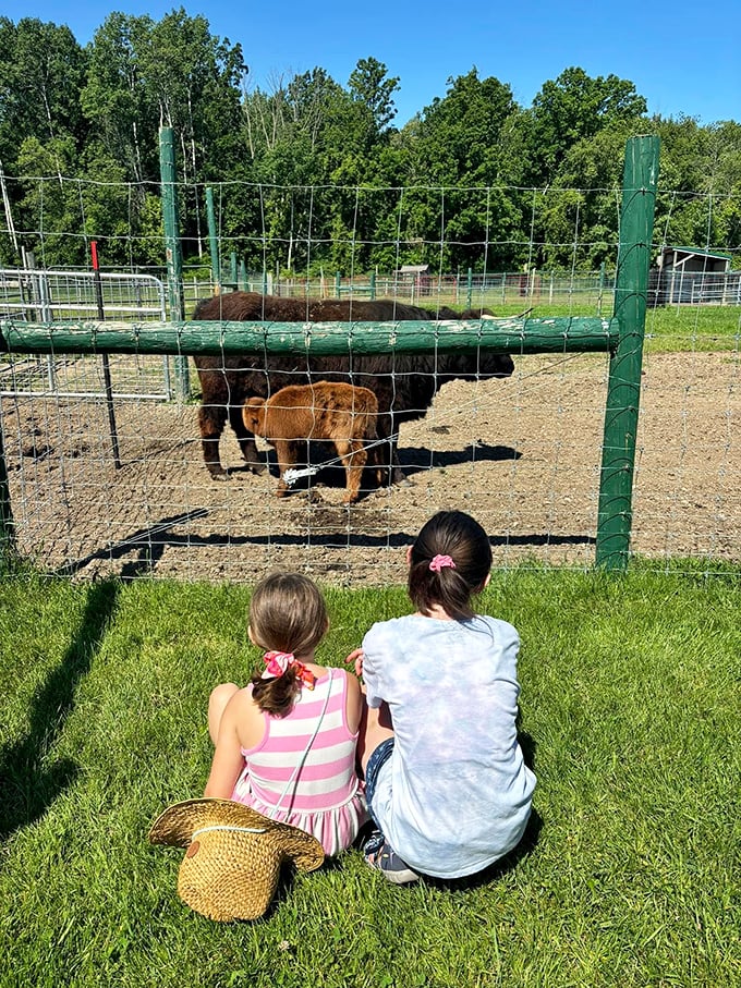 Future reindeer wranglers in training. Note the expert 'cow-tipping' stance – works on Highland cows too!