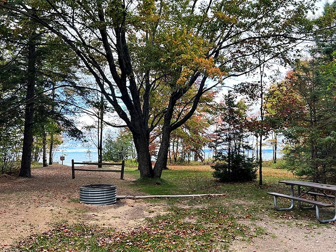 Picnic perfection: Where every meal comes with a side of stunning lake views. Bon appétit, nature lovers!