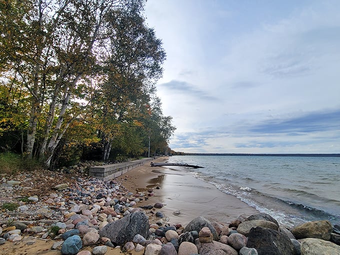 Rocky road, Brimley style: Where 'taking the scenic route' means navigating nature's own obstacle course. Adventure awaits at every step!