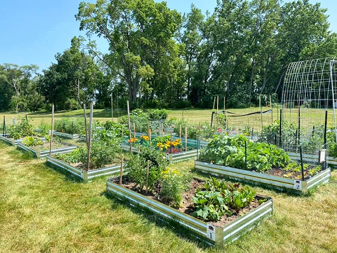 From castle grounds to community gardens. These raised beds are perfect for growing everything from royal radishes to knightly kale.