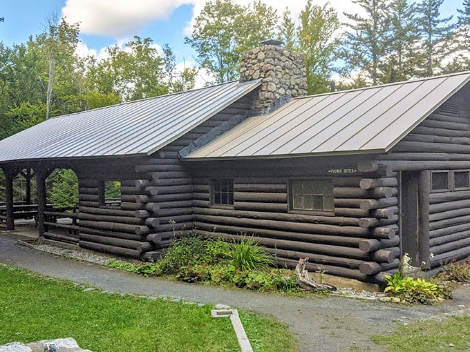 Log cabin goals: This picturesque shelter whispers tales of s'mores, ghost stories, and the occasional snoring symphony.