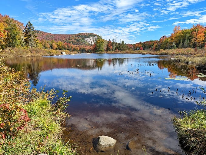 Autumn's canvas unfurled: Mother Nature's showing off again, painting the shoreline in hues that'd make Bob Ross proud.