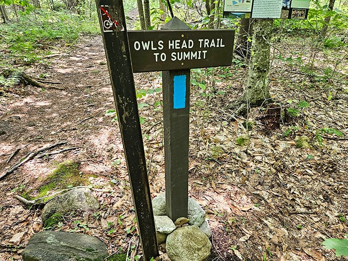 The path less traveled: Owl's Head Trail beckons adventurers to discover what a wise old bird already knows - the view's worth it.