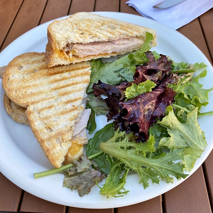 Turkey never had it so good! This panini looks like it stepped right out of a food magazine. Crispy, melty, and ready for its close-up.