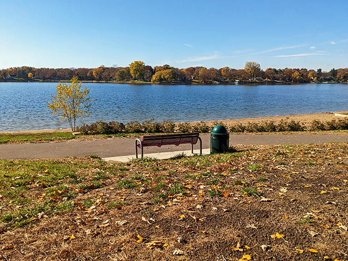 Fall colors so vibrant, they make a bowl of Froot Loops look dull. Mother Nature's showing off again!