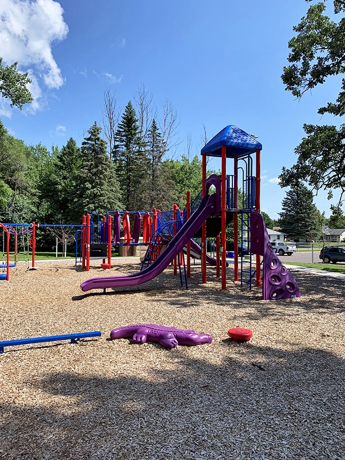 Playground or American Ninja Warrior junior? Either way, it's where future Olympic athletes are born.