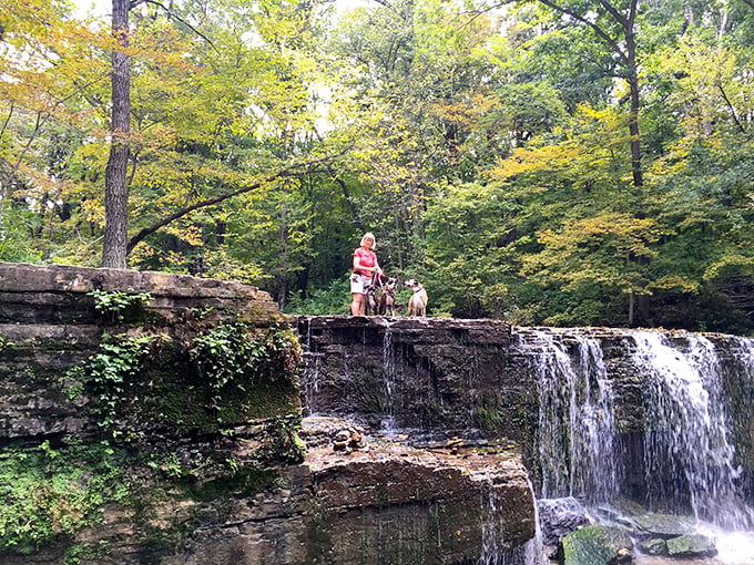 Waterfall selfie central! These intrepid explorers are living their best 