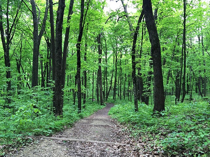 Welcome to the Emerald City of Minnesota! This lush green corridor could give Oz a run for its money, minus the flying monkeys.