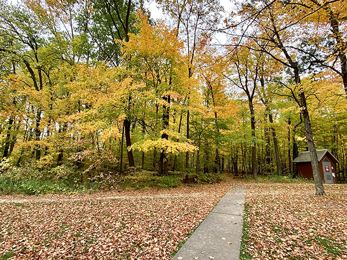 Autumn in Minnesota: where the trees dress up in their Sunday best and put on a show that rivals Broadway.