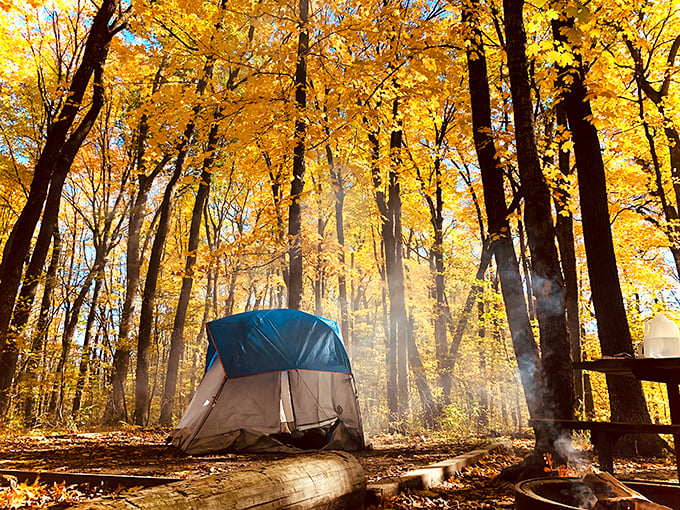 Camping or glamping? This autumn scene is so picturesque, it's like Mother Nature's own five-star resort, complete with a leafy light show.