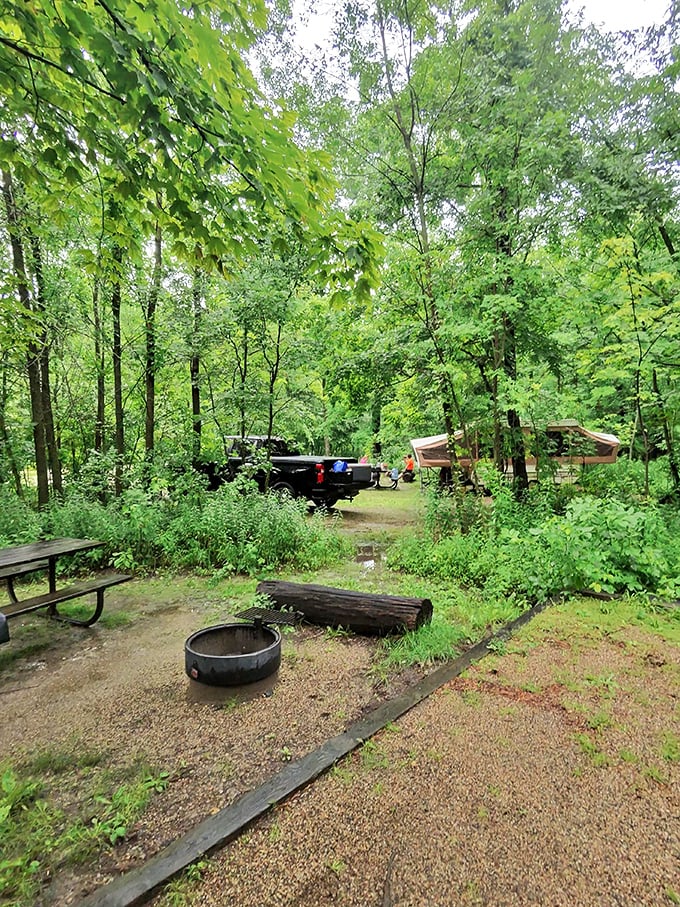 Roughing it? Hardly! This woodland campsite is like a five-star hotel, if your idea of room service is squirrels and birdsong.