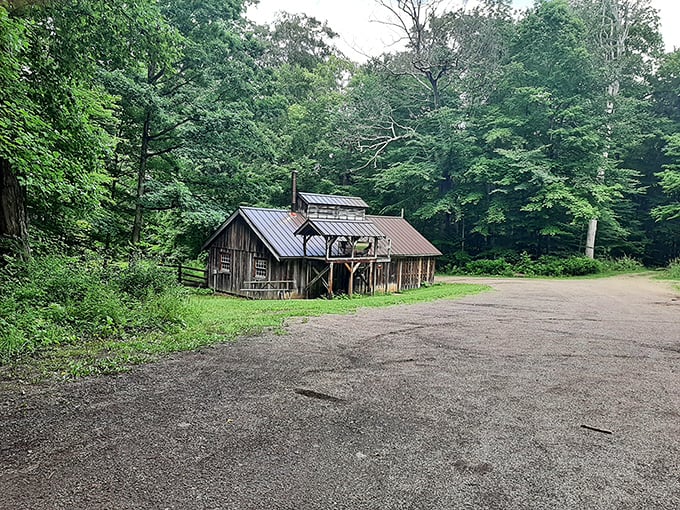 Woodland wonder awaits! This quaint cabin looks like the perfect spot for a fairy tale adventure or a much-needed digital detox – take your pick!