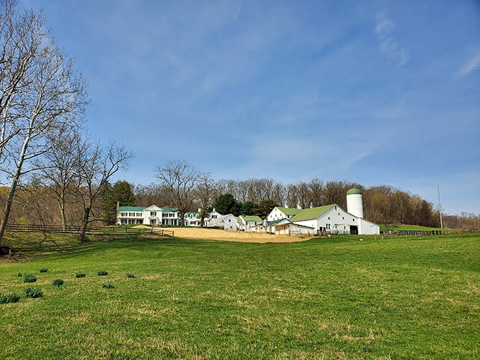 Farm fresh fantasy! This panoramic view is so picturesque, you'd half expect to see Laura Ingalls Wilder skipping down the lane with Pa's fiddle in tow.