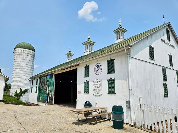 Barn beautiful! This pristine white structure is so spotless, you'd think Mr. Clean moonlights as a farmer. Talk about raising the "barn" for farm aesthetics!