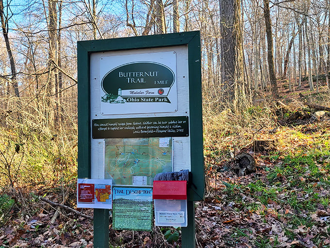 Trail blazers, unite! This woodland path promises more twists and turns than a season of 