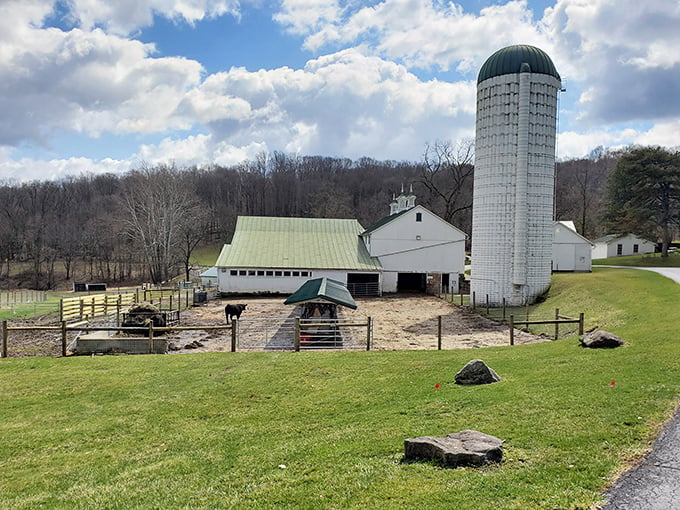 Farm livin' is the life for me! This picturesque scene has more charm than Old MacDonald and better views than a penthouse suite.