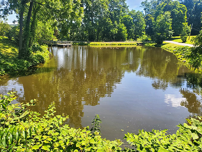 Serenity now! This tranquil pond scene is more soothing than a thousand ASMR videos – nature's own chill pill.