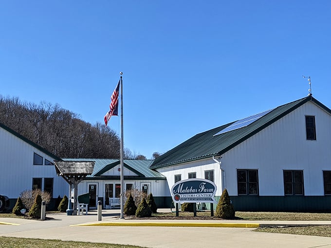 Welcome to the farm-ily! This visitor center is your gateway to rural adventures – where 