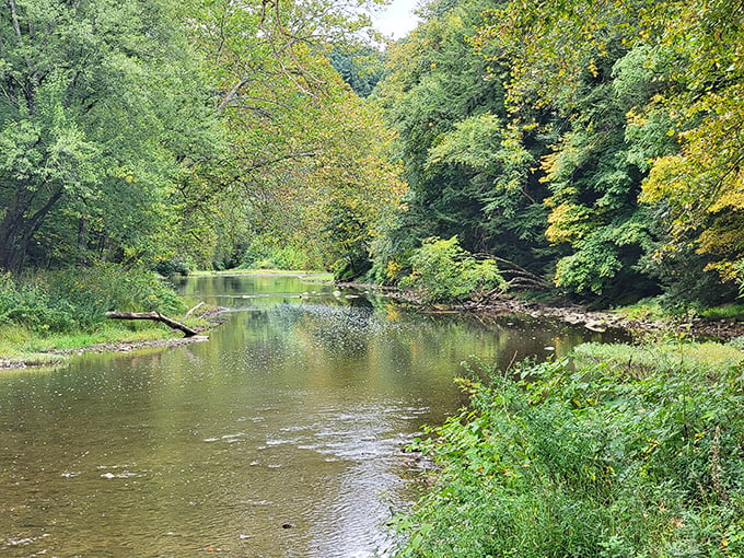 Nature's own lazy river! Beaver Creek meanders through the park, inviting you to slow down and go with the flow.