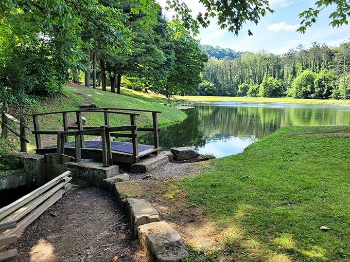 Serenity now! This tranquil pond scene is like a Bob Ross painting come to life. Happy little trees and all, minus the afro.