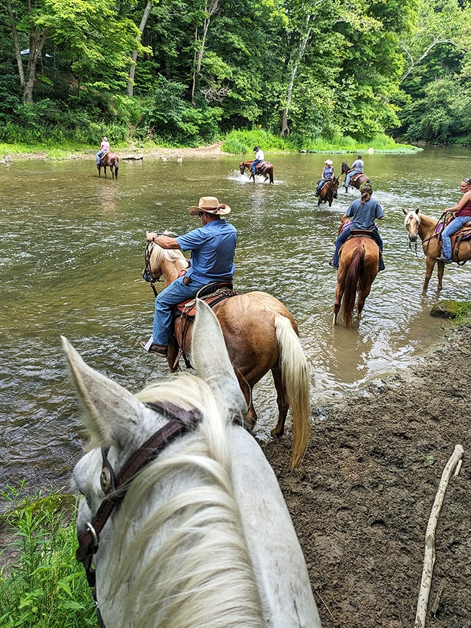 Giddy up! Channel your inner cowboy (or girl) and explore Beaver Creek the old-fashioned way. No horsepower required, just horse.