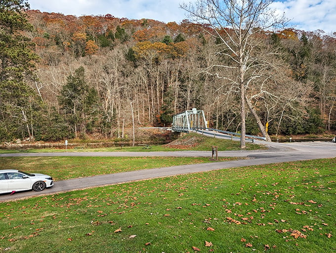 Who needs a corner office when you've got views like this? Nature's panorama beats any screensaver, hands down.