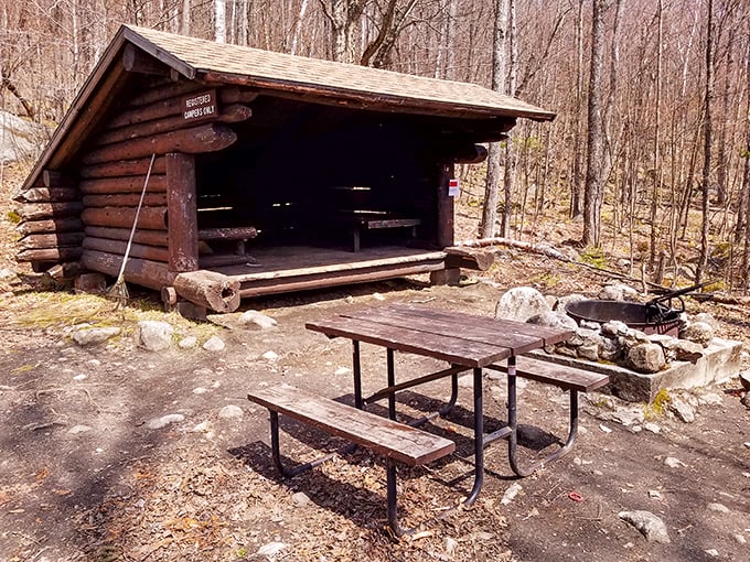 Rustic charm meets wilderness dining! This log shelter and picnic table combo is the al fresco restaurant of your dreams.