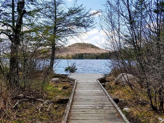 Gateway to serenity! This weathered dock invites you to leave your worries on shore and dive into nature's embrace.