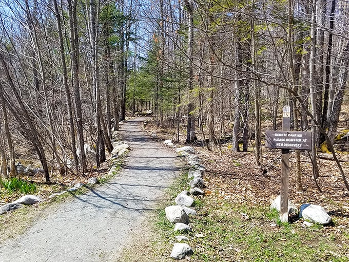 Nature's GPS: When in doubt, follow the trail! This path promises adventure through Kettle Pond's leafy labyrinth.