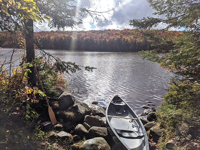 Leaf peeping from the water! This canoe's ready to paddle you through autumn's most vibrant art gallery.