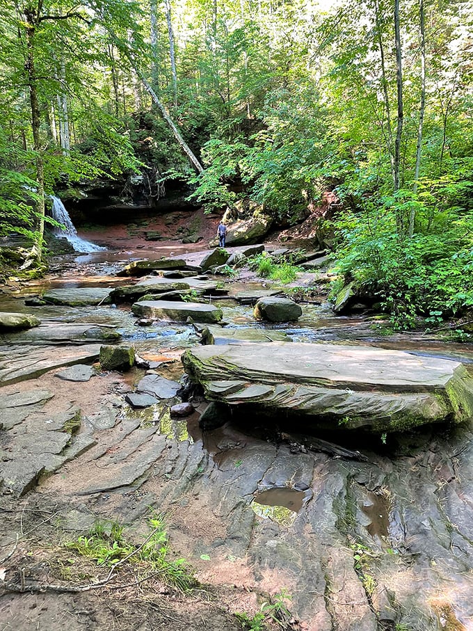 Who needs a spa day when you've got this? Lost Creek Falls offers a natural sound bath that'll wash away your stress faster than you can say "serenity now!"