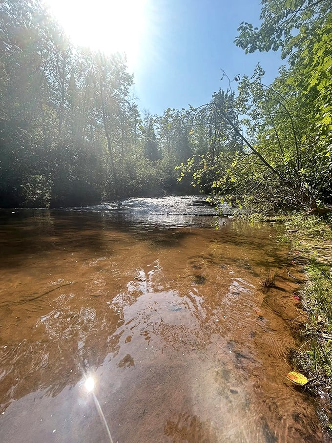 Mother Nature's infinity pool! The creek stretches out before you, reflecting the sky and trees in a mirror-like surface.