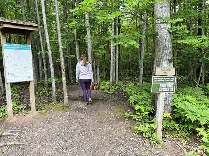 Follow the yellow brick... er, wooden road! This trail leads to wonders that would make even Dorothy forget about Oz.